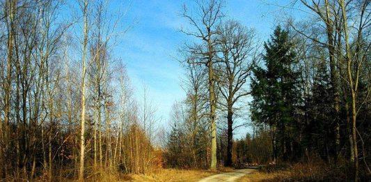 Времето, слънчево, прогноза