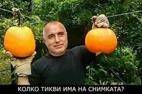 Тикви