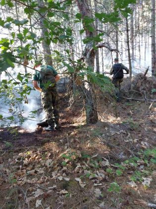 Пожар край Свиленград