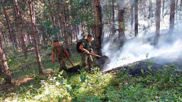 Пожар край Свиленград