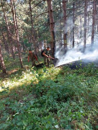 Пожар край Свиленград