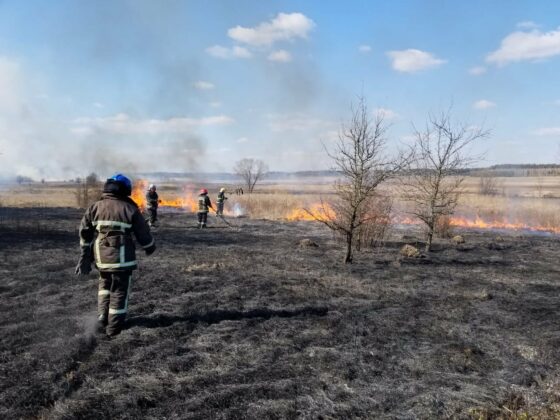 Поражения в Коростенски район