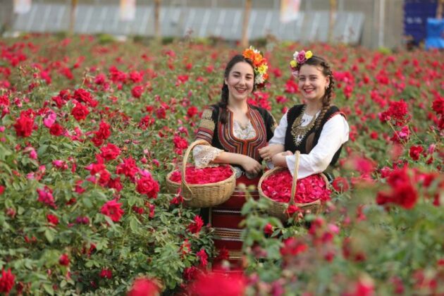 Международен културен фестивал на розата в Китай