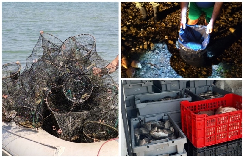 Служителите на Изпълнителната агенция по рибарство и аквакултури /ИАРА/ проведоха