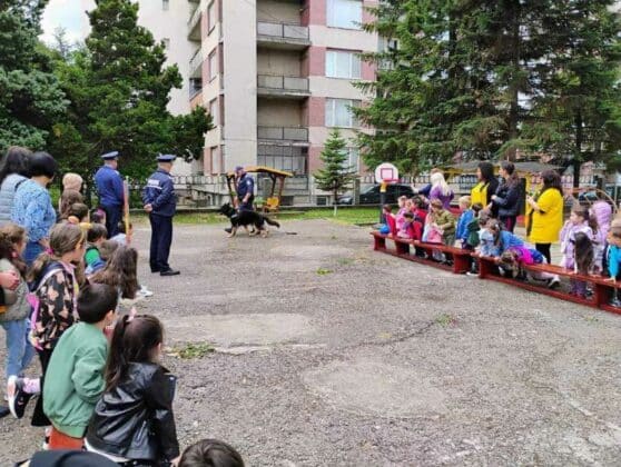 Детска градина „Пчелица“