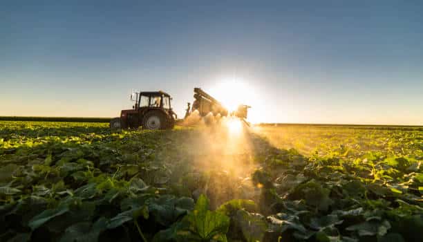 Министерството на земеделието обяви че земеделските стопани подали заявления за