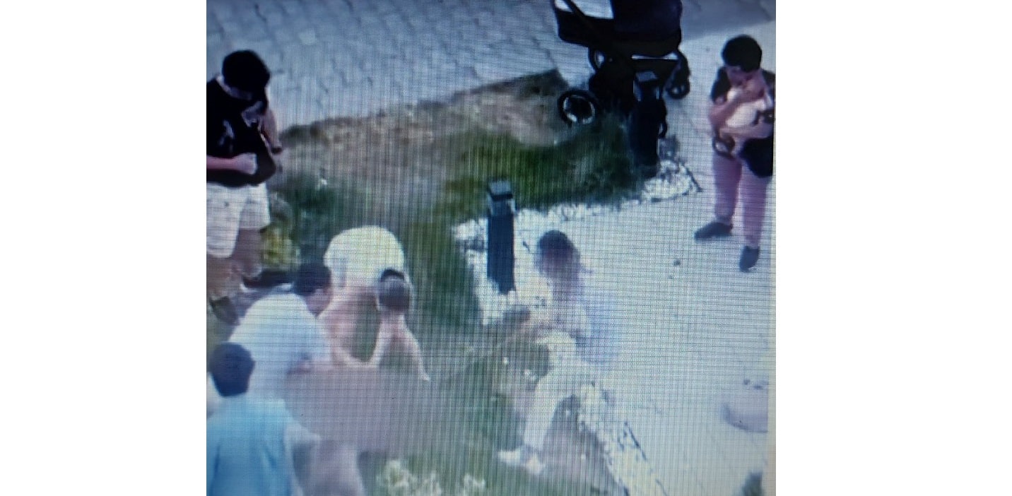 В София куче от породата померан е нападнато и разкъсано от