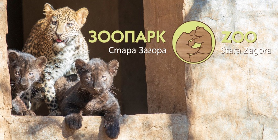 Старозагорският зоопарк и тази година ще организира лятно зооучилище през