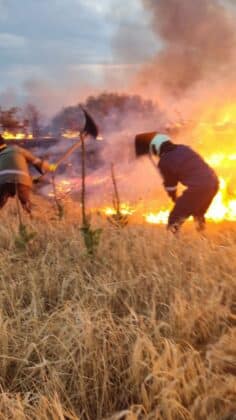 Огнеборци се борят с пожара край село Априлци, област Пазарджик