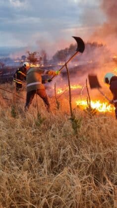 Огнеборци се борят с пожара край село Априлци, област Пазарджик