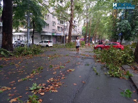 Паднали клони по улица "Александровска" в Бургас