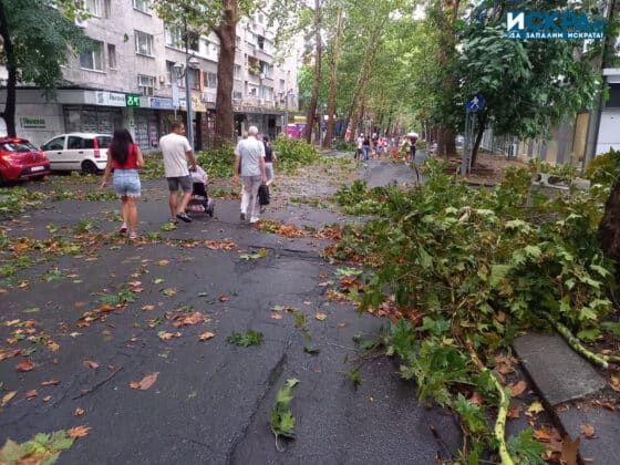 Паднали клони по улица "Александровска" в Бургас