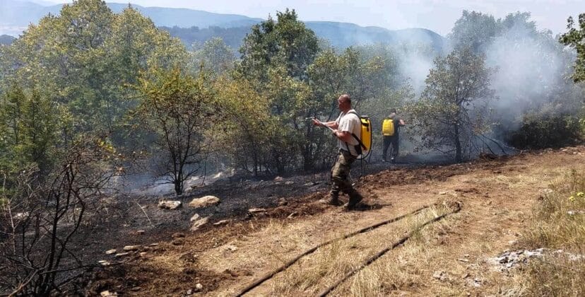 Пожар край село отец Паисиево, област Пловдив