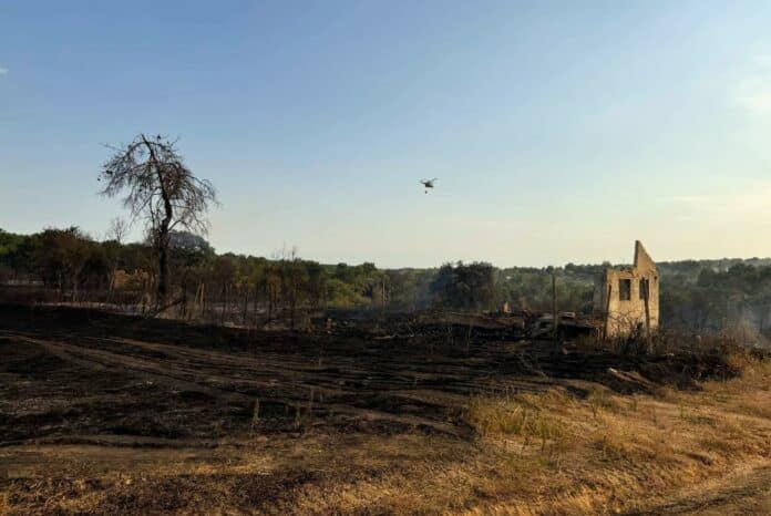 Пожар край село отец Паисиево, област Пловдив