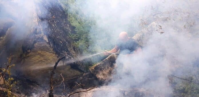 Пожар край село отец Паисиево, област Пловдив