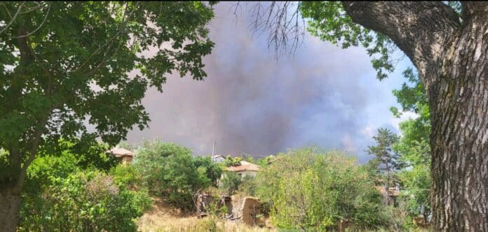 Пожар край село Отец Паисиево, Пловдив