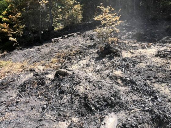 Пожар в община Брезово