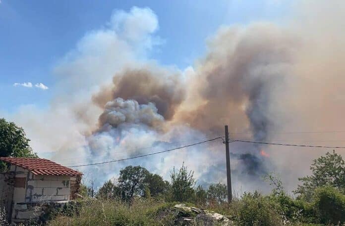 Пожарът, Община Тополовград