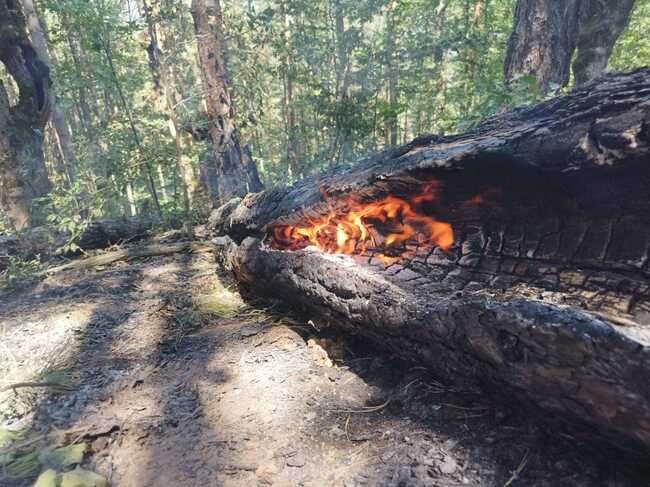 Нов пожар е избухнал в Кюстендилско Той е обхванал 600