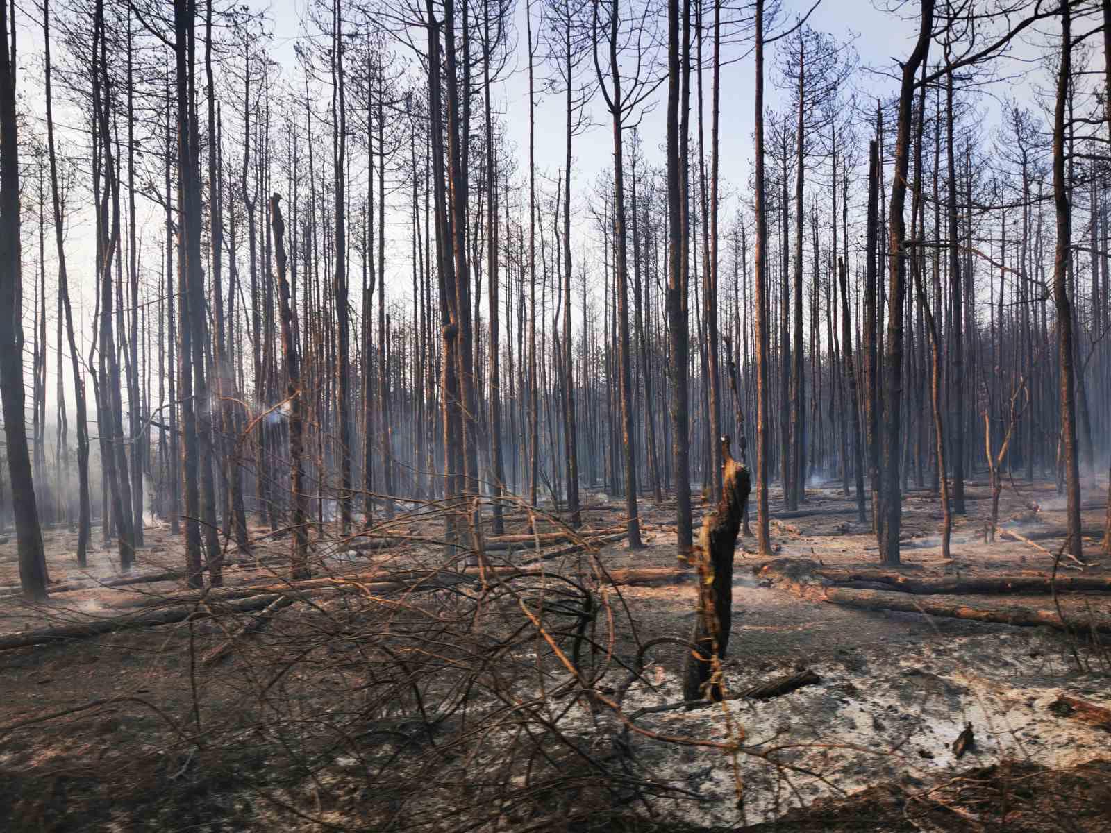 Областната администрация в Хасково съобщи последни данни за големия пожар