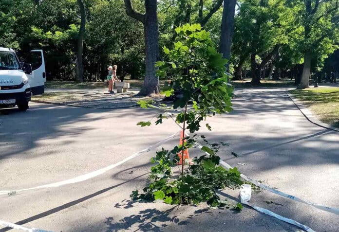 Пропадане в Морската градина във Варна