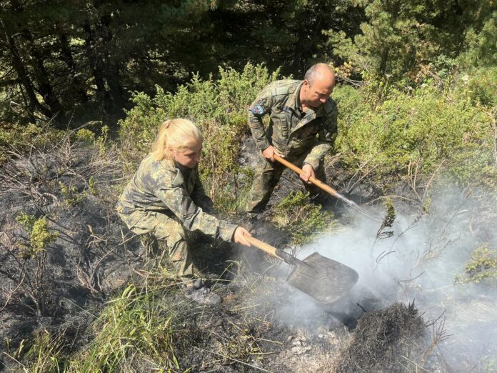 Гасенето на пожара в Рила