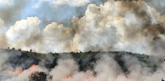 Пожар в село Арчар