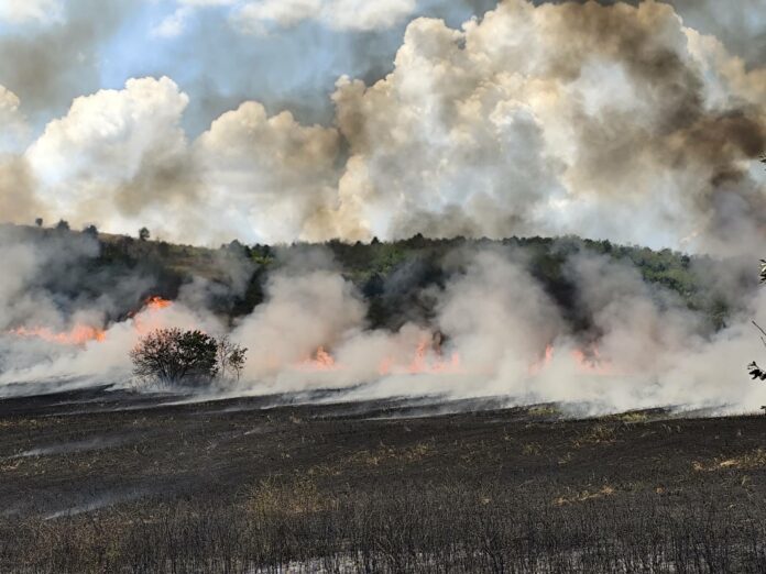 Пожар в село Арчар