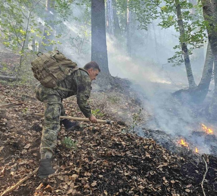 Пожарът в планина Славянка