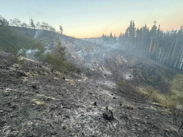 Пожар на границата с Република Северна Македония