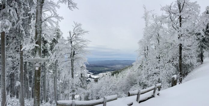 Фрайбург в Европа