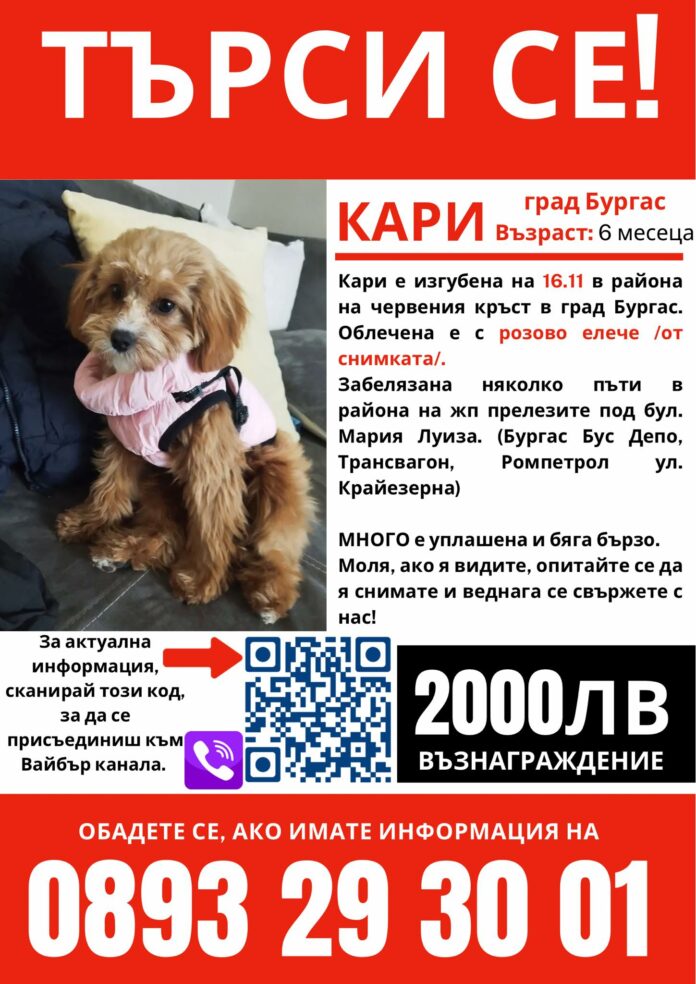 Изчезналата Кари