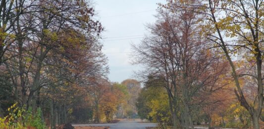 Парка в ж.к. "Славейков" в Бургас