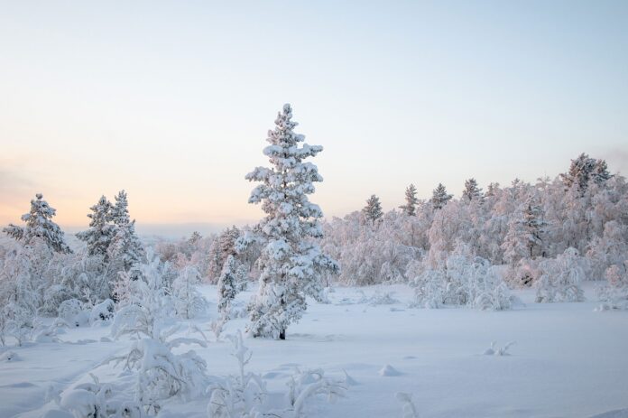 Слънчево, снежно време